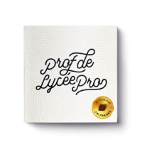 carnet-prof-de-lycee-pro