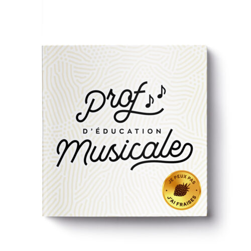 carnet-prof-education-musicale