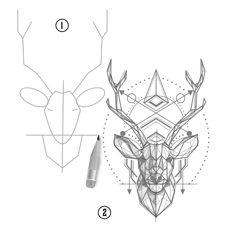 Apprendre A Dessiner Un Cerf  Dessin Facile Comment Dessiner Un Cerf