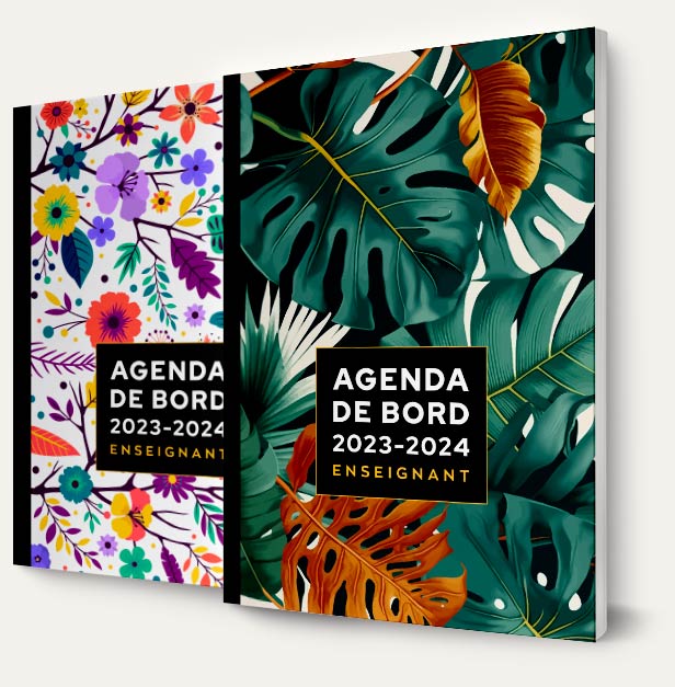 Agenda de l'enseignant mensuel, année scolaire 2023/2024, avec registre 9  classes, format 19x27. Pour ceux qui pensent en numérique : planification,  organiser, conçoit! (Viva Magenta) : : Fournitures de bureau