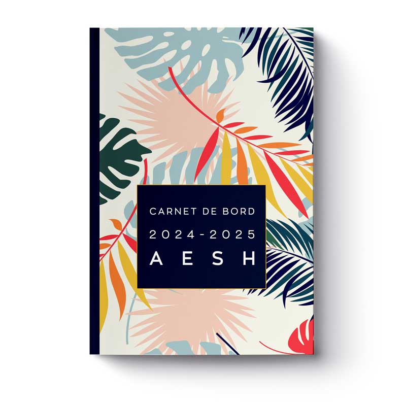 carnet-de-bord-2024-2025-aesh