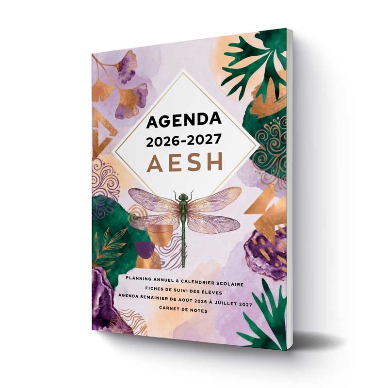 //www.gringolivier.com/wp-content/uploads/2026/05/agenda-2026-2027-aesh-version-01-2.jpg