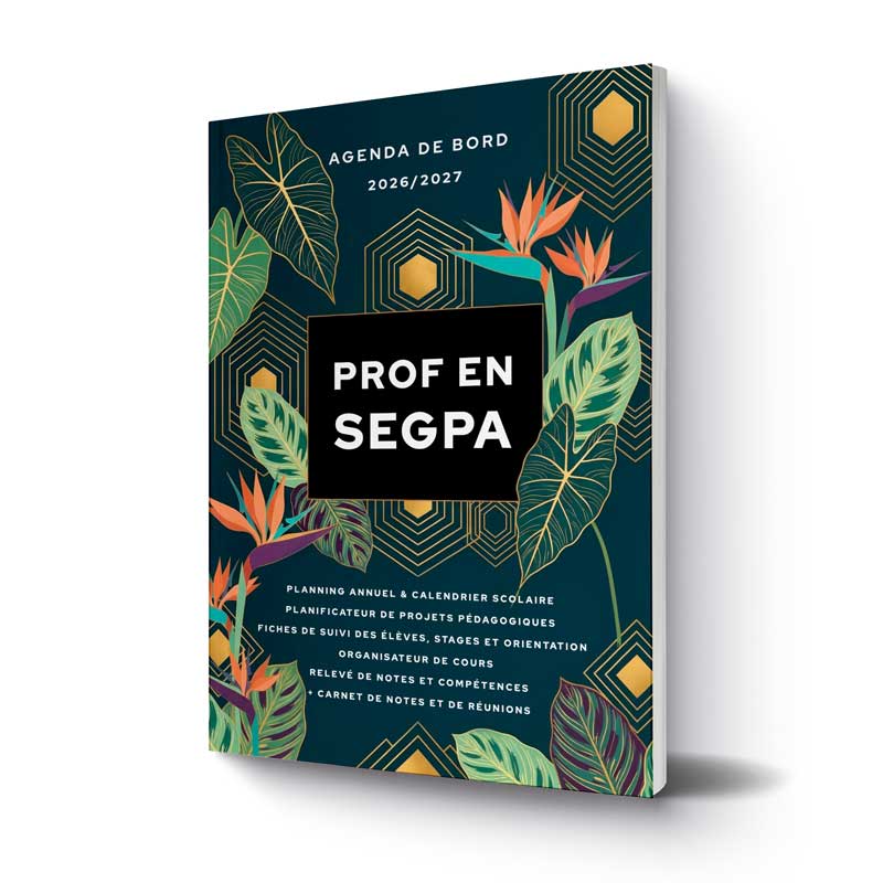 //www.gringolivier.com/wp-content/uploads/2026/05/agenda-2026-2027-prof-en-segpa-2.jpg